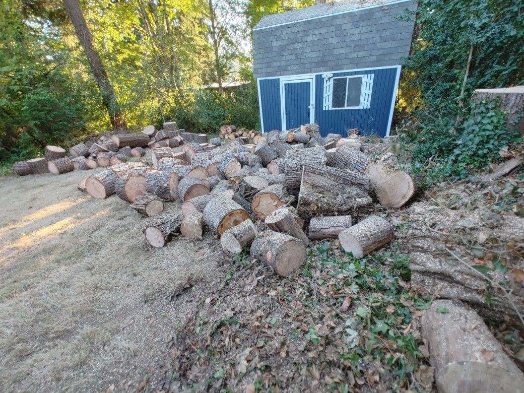 Free Fire Wood