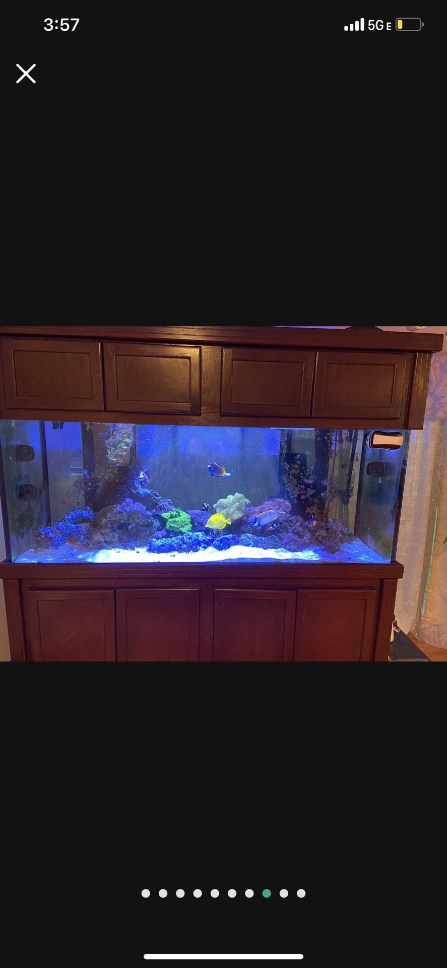180 Gallon Reef Ready Fish Tank With Cabinetry.