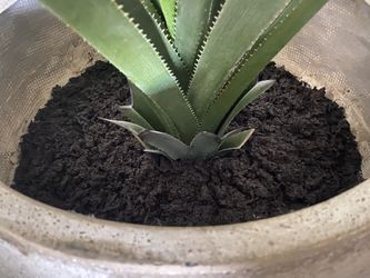 NEW Agave Plant with Pot (artificial but realistic looking) Thumbnail