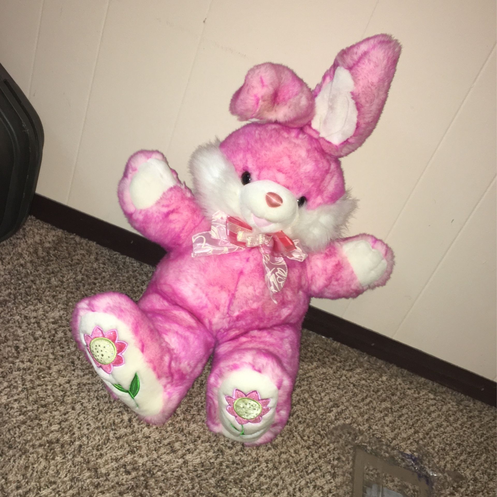 Bunny