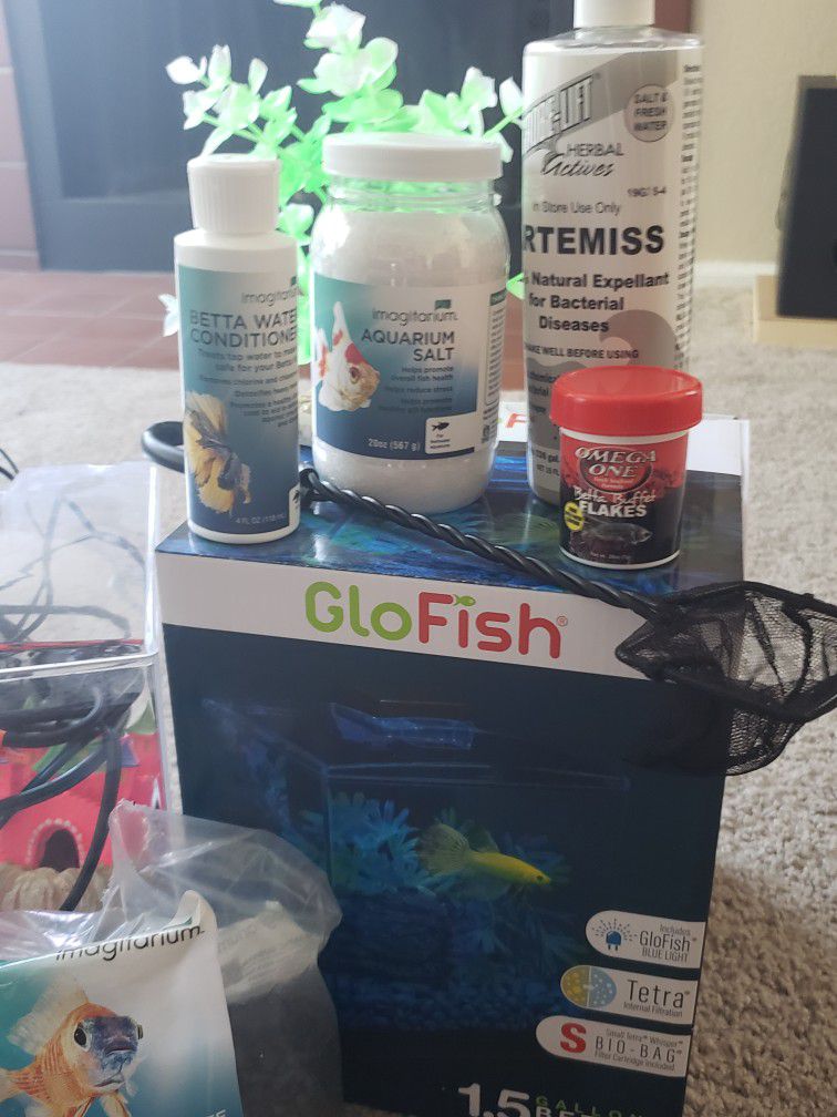 Glo Fish Tank With All The Goods