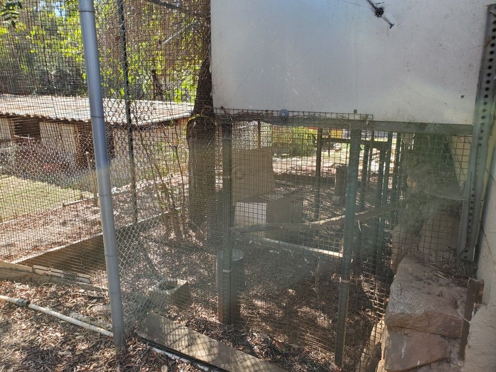 Free Cages