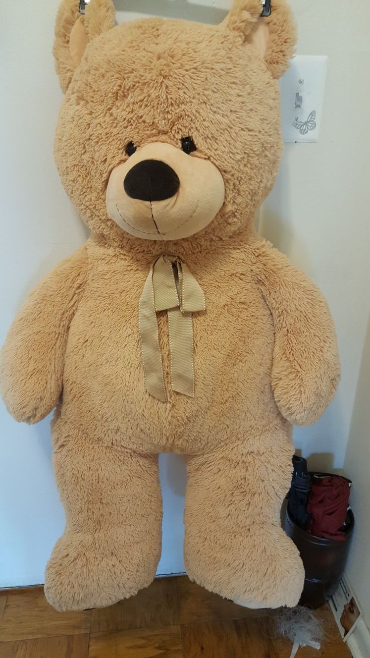 Teddy bear giant 43 "