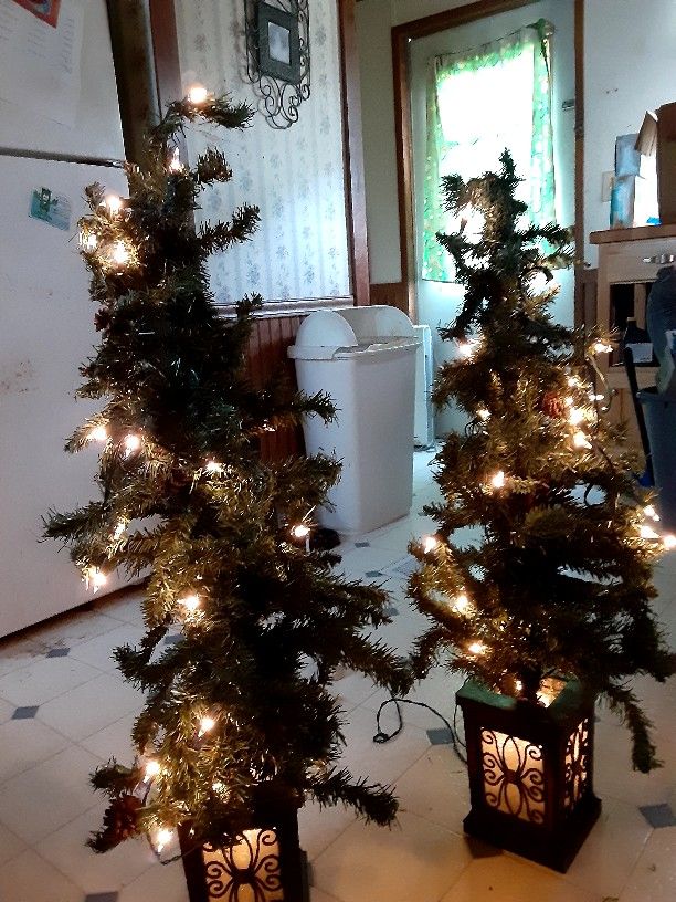 2 Pre-Lit Topiary trees (Holiday or Year-Round)
