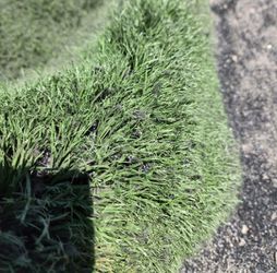 ALL GREEN USED ARTIFICIAL GRASS  / ONLY $200 PER ROLL / SYNTHETIC GRASS  Thumbnail