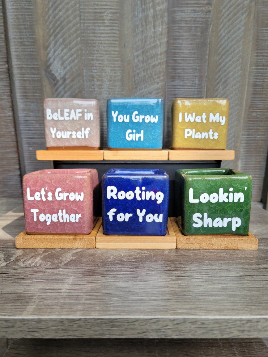 2.5in Plant Pots with Custom Plant Sayings - Funny, Inspirational, Perfect Gifts!