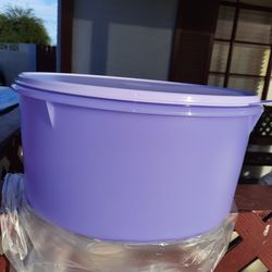 Tupperware Giant Canister Round 10 Liter  For $35.00 Thumbnail