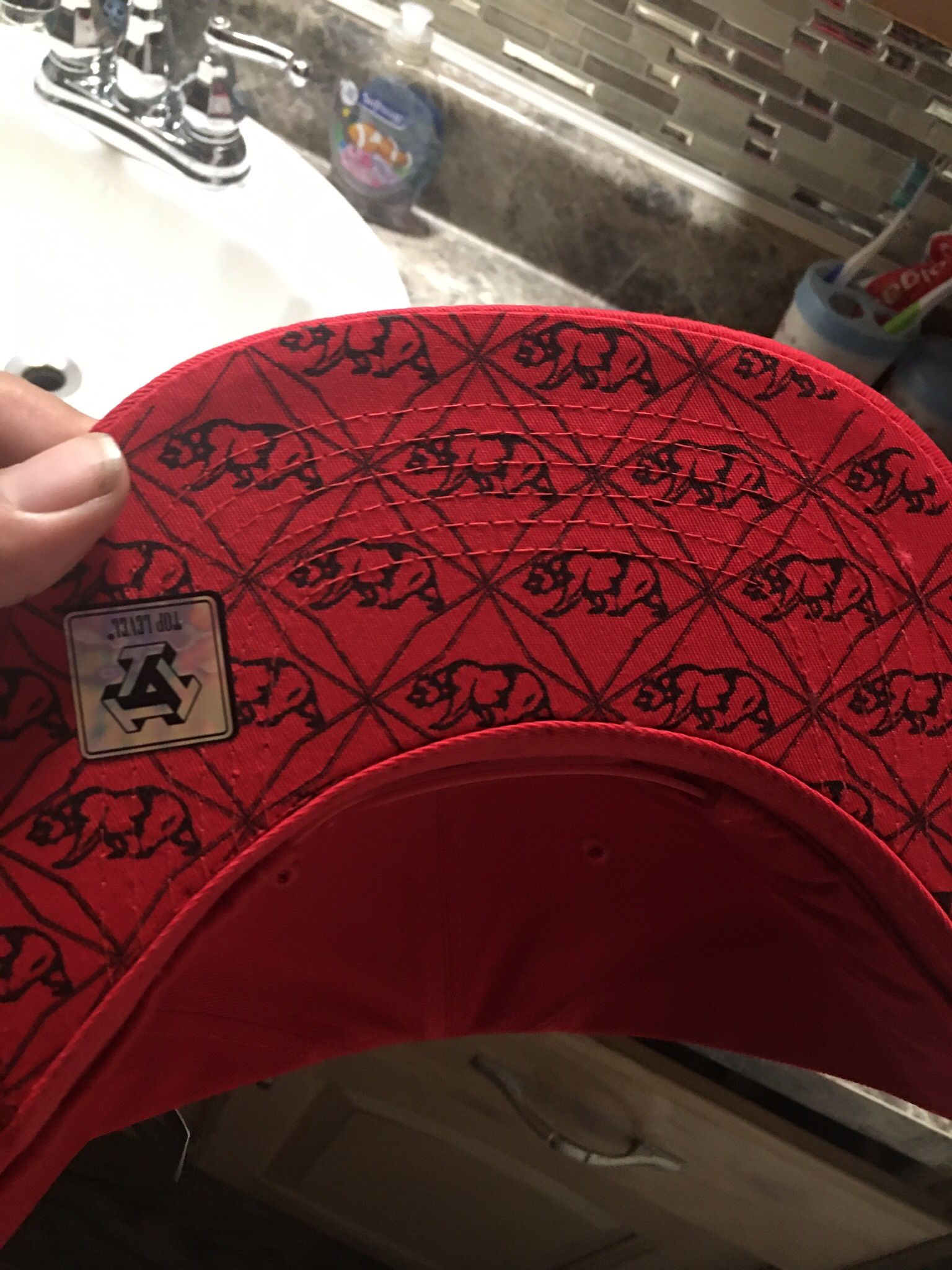 Gorras Nuevas Republic California