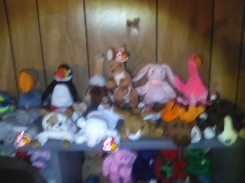 Ty Beanie Baby Lot