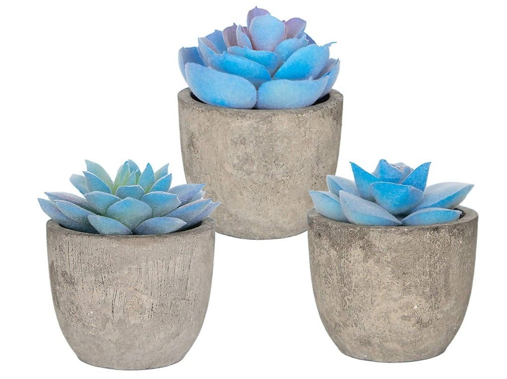 New Set 3 Greenery Mini Succulent Plants