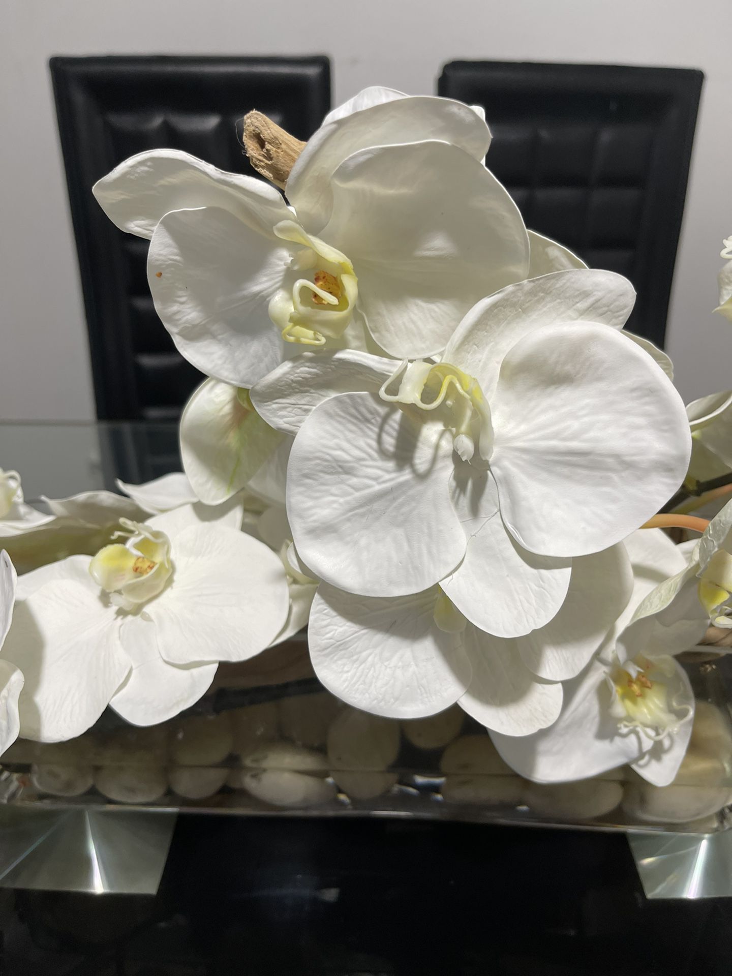 Orchids Floral Arrangement In Planter