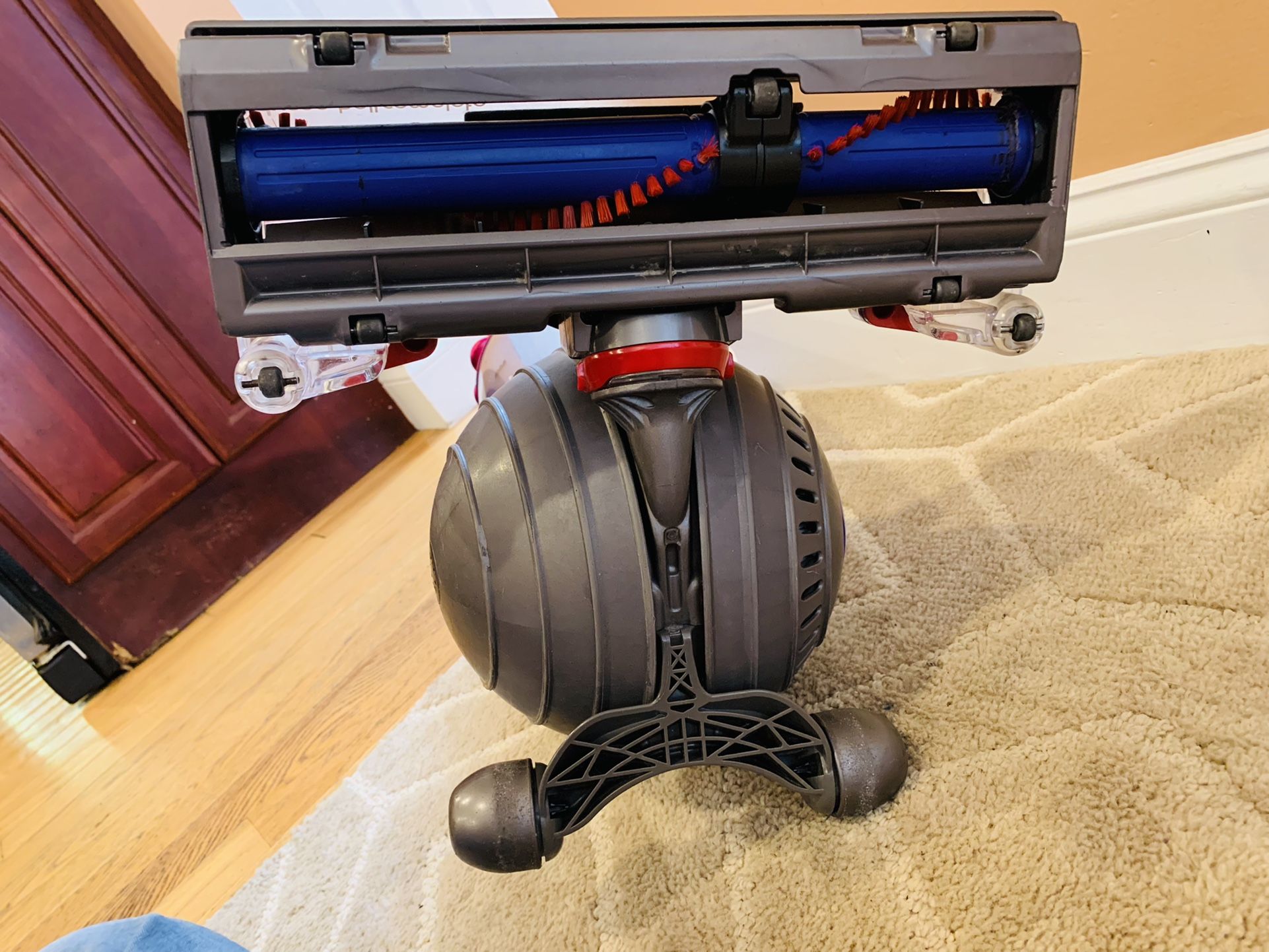 Dyson DC 65 vacuum Cleaner