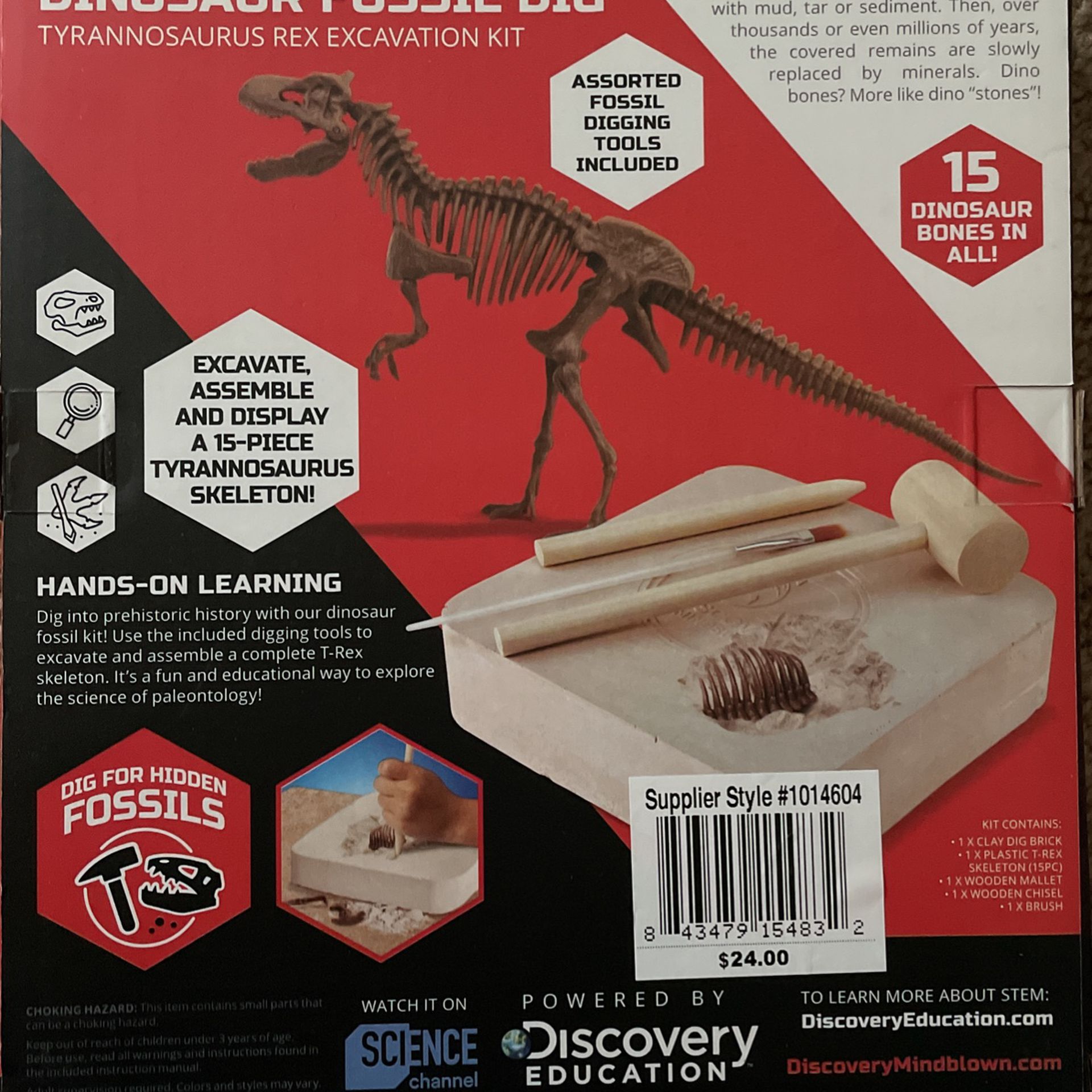 Discovery  Dinosaur Fossil  Dig 