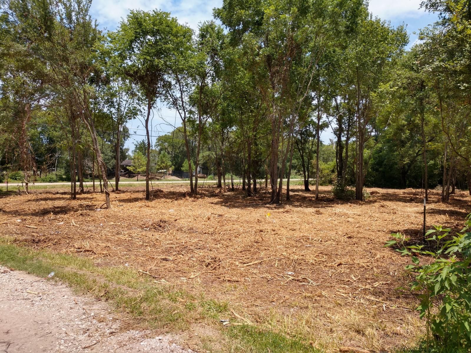 1/4 Acre Lot Terreno para Traila en Rosharon Texas 1 for Sale in