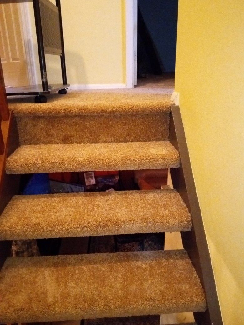 Carpet And Pad