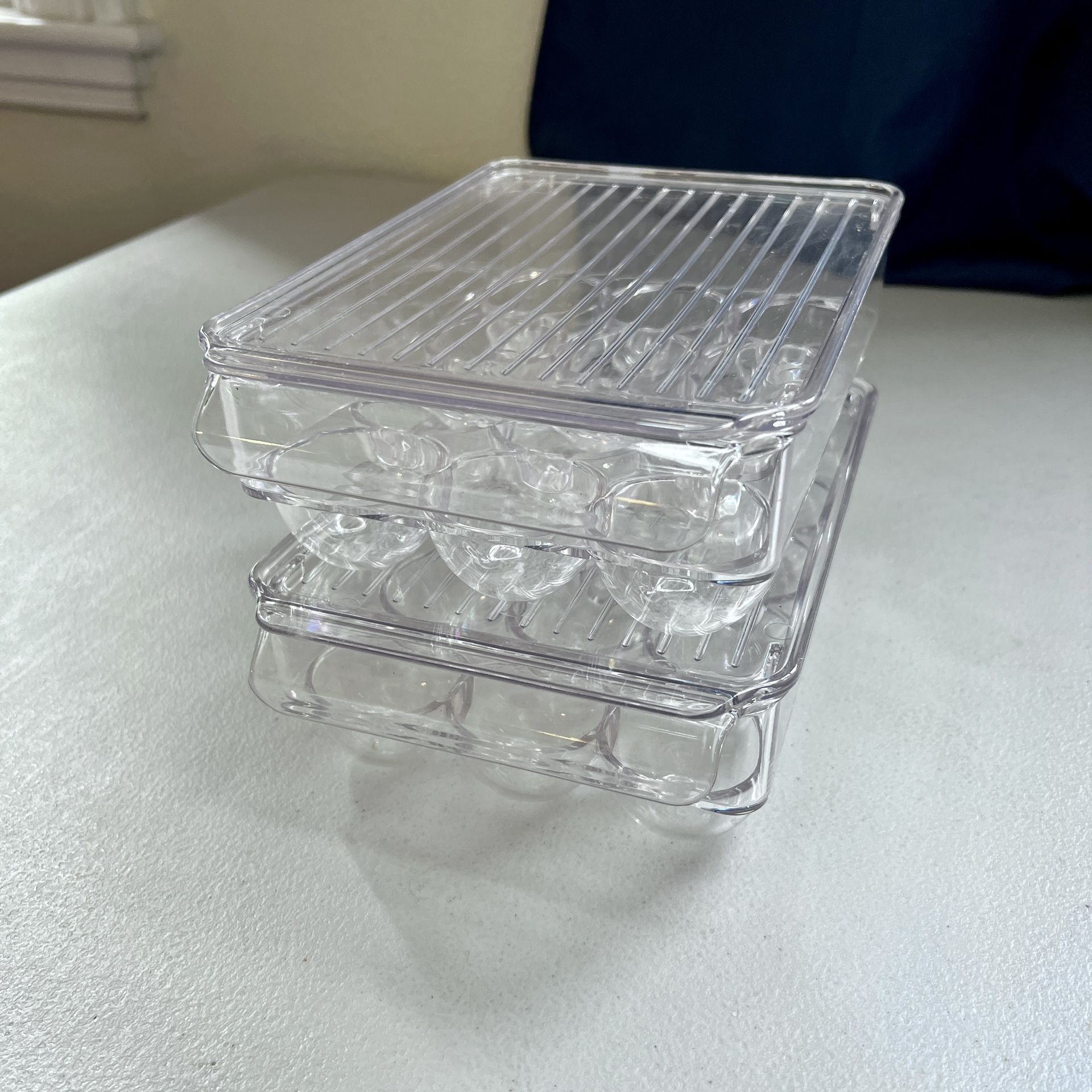 Egg Organizer/Holder (2)