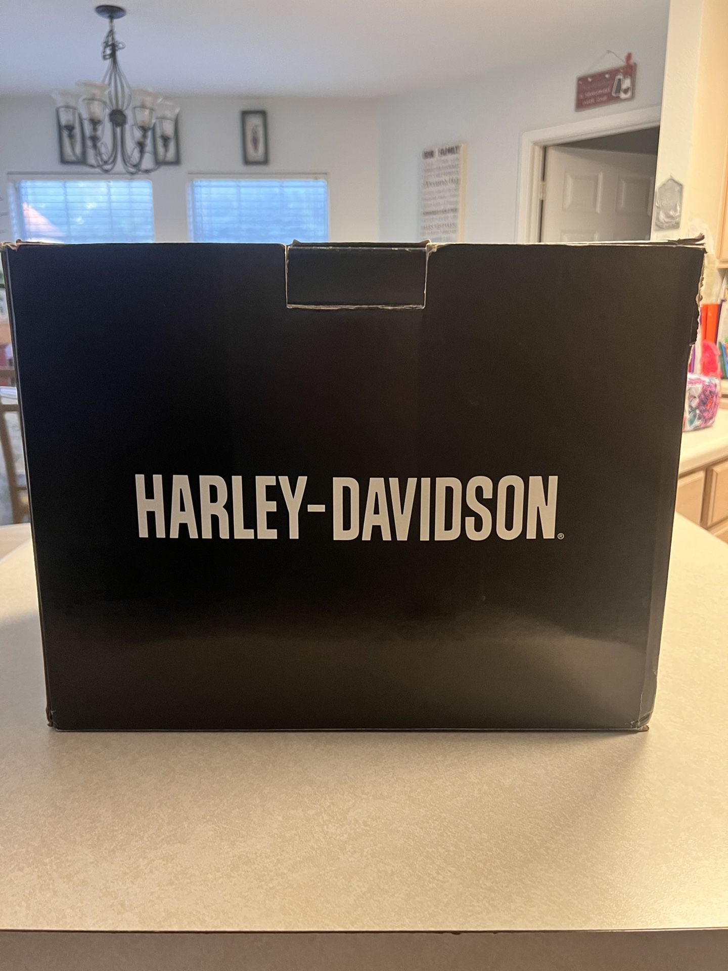 Harley-Davidson Helmet & Gloves