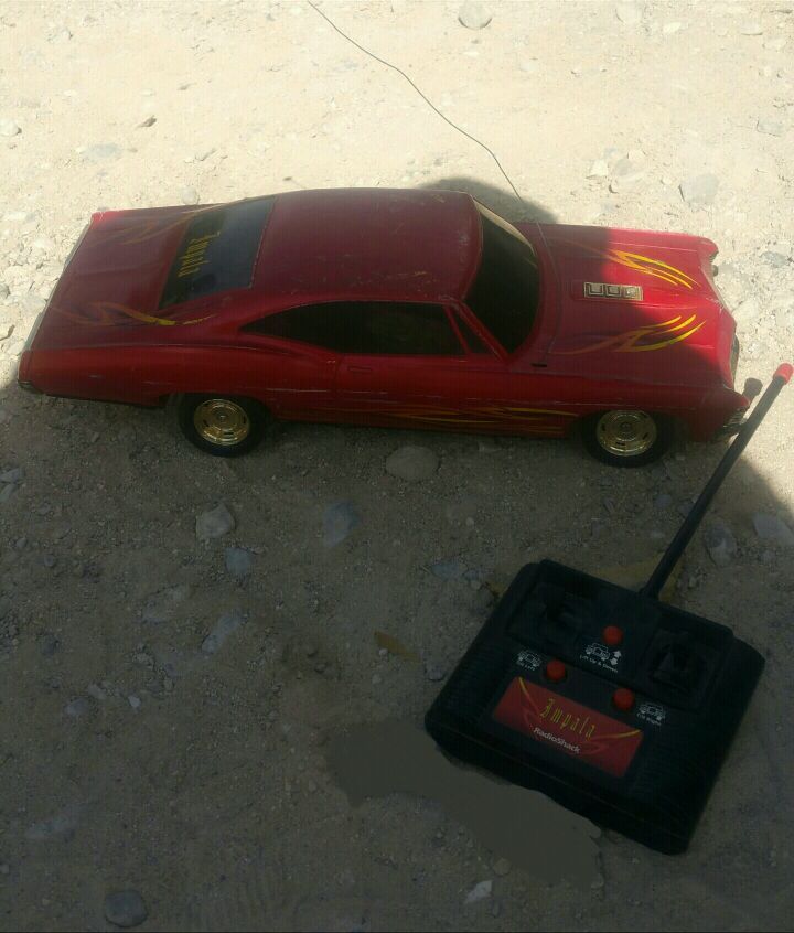 radio shack lowrider rc
