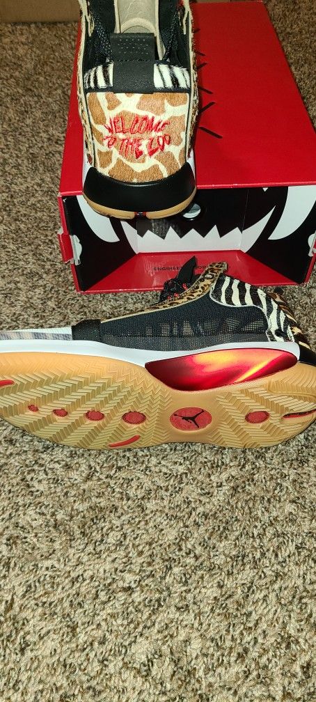 NEW! Nike Air Jordan Zoo