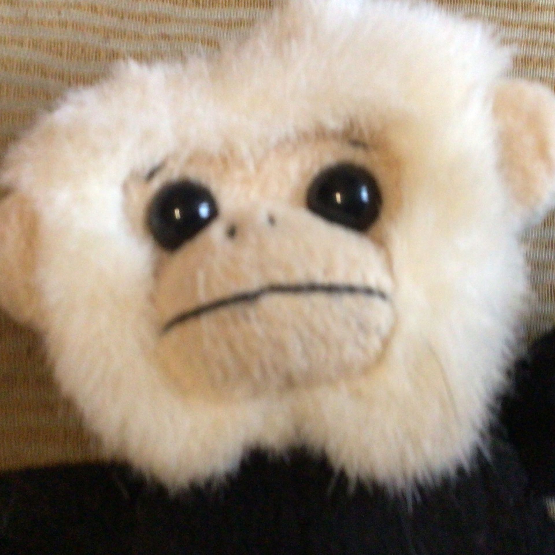 Monkey Stuffie