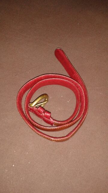 Coach belt