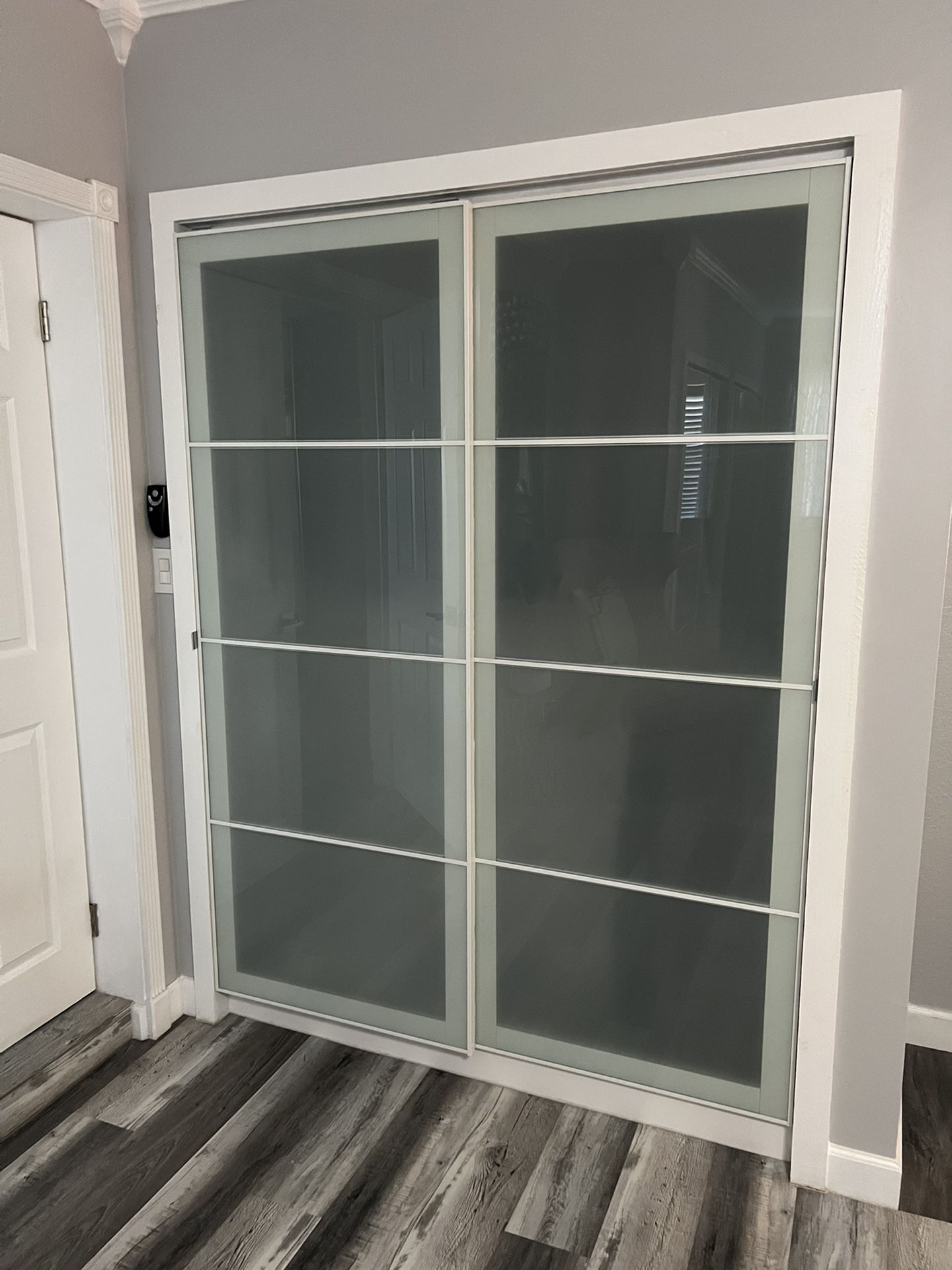 Modern Frosty Glass Closet Door