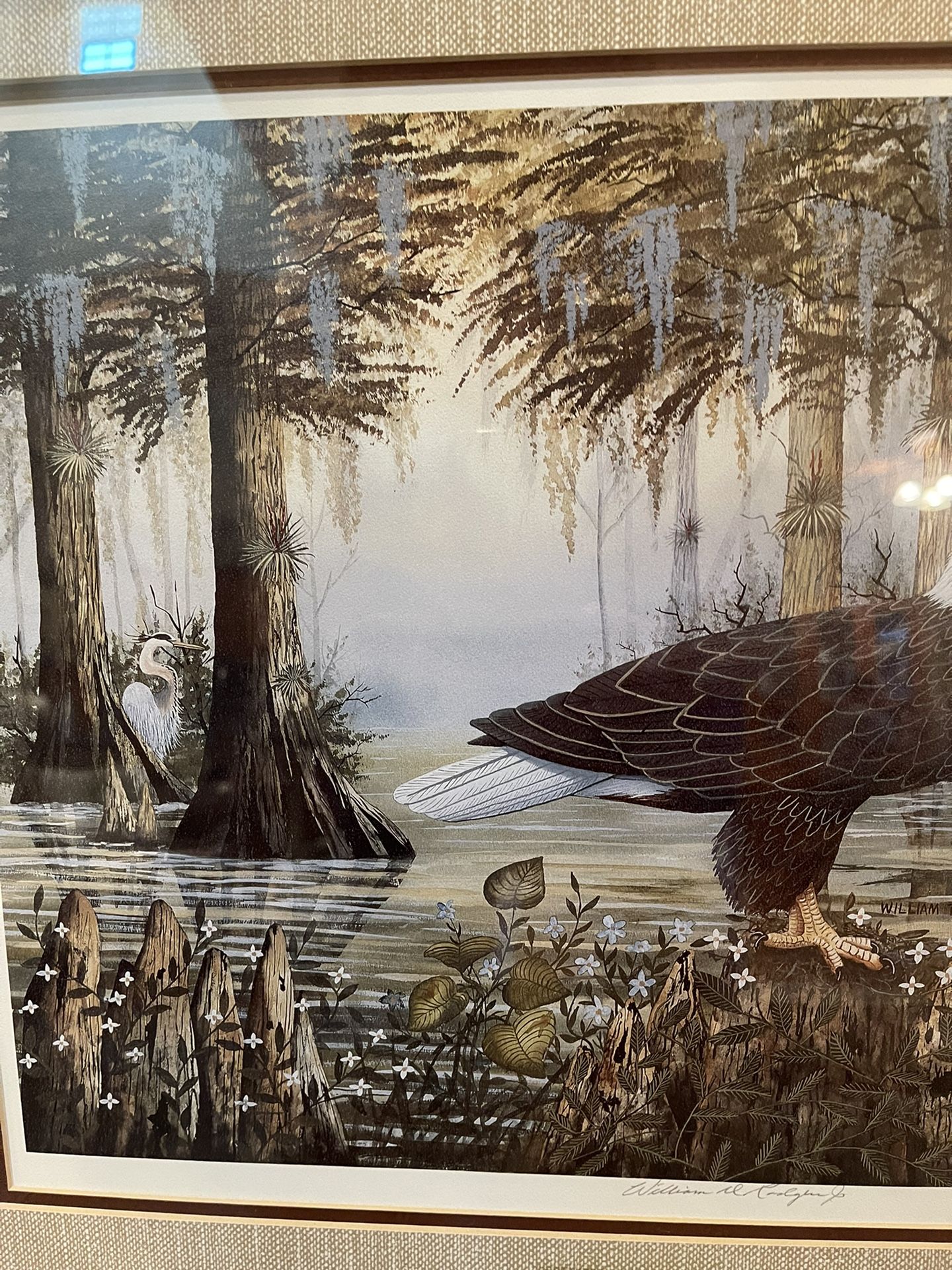 William Rogers Eagle Print In Everglades