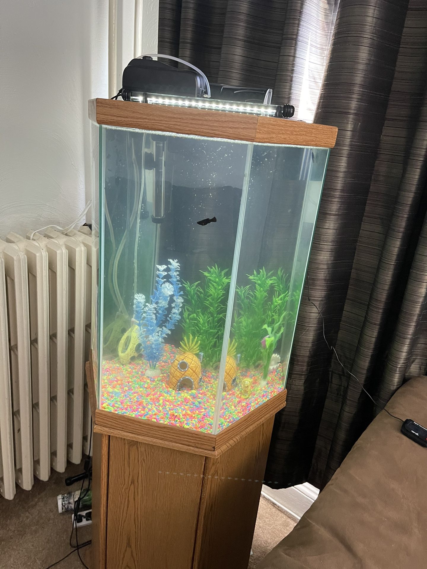 35 Gallon Fish Tank With Stand And  Lid 