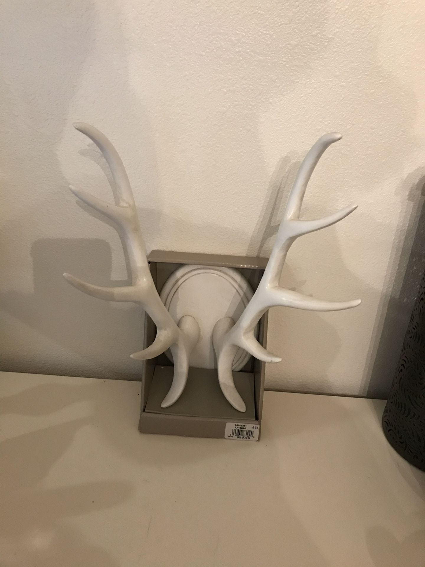 Fun Wall Trophy Antlers