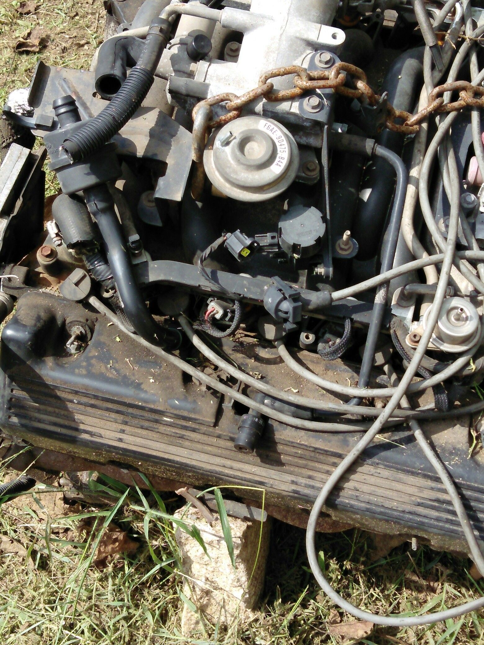 Motor
