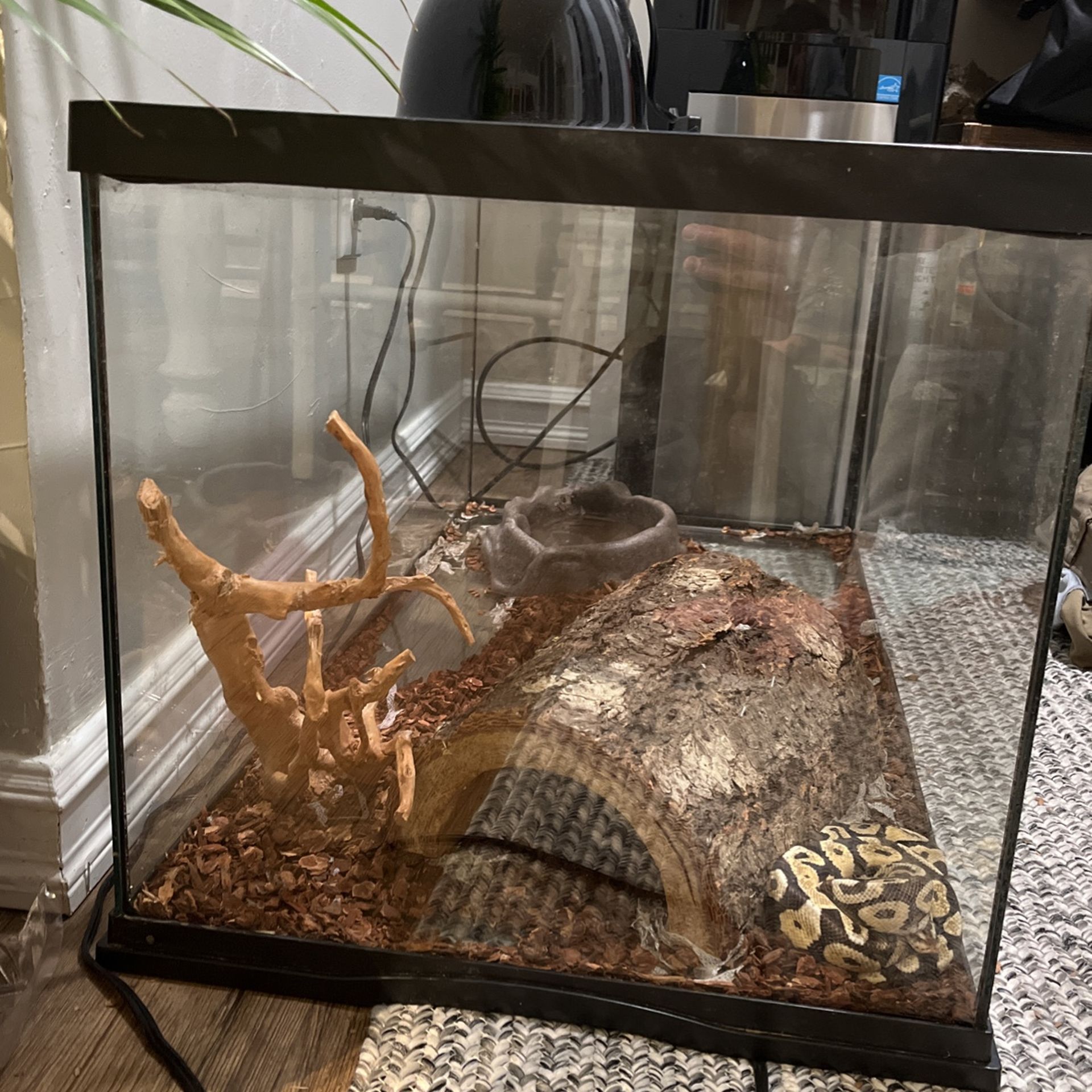 50 gallon reptile tank