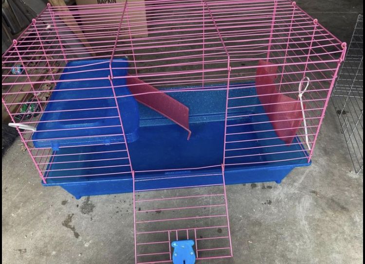 Guinea Pig Starter Cage