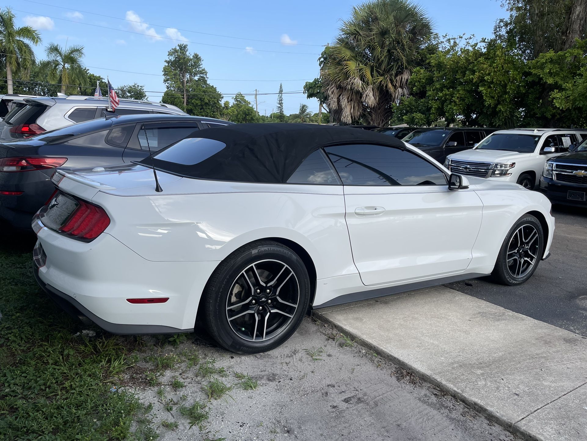 2019 Ford Mustang