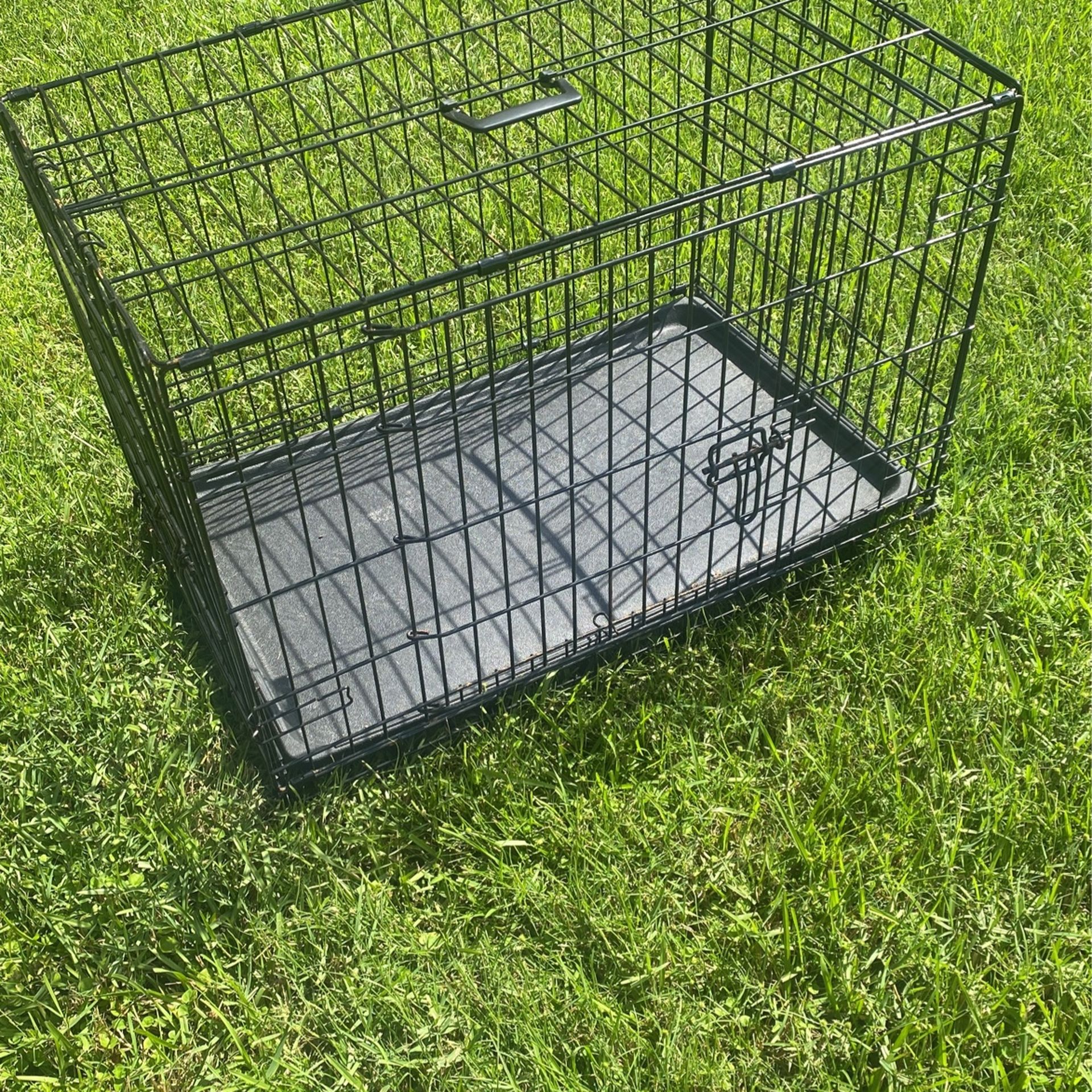 Dog Cage