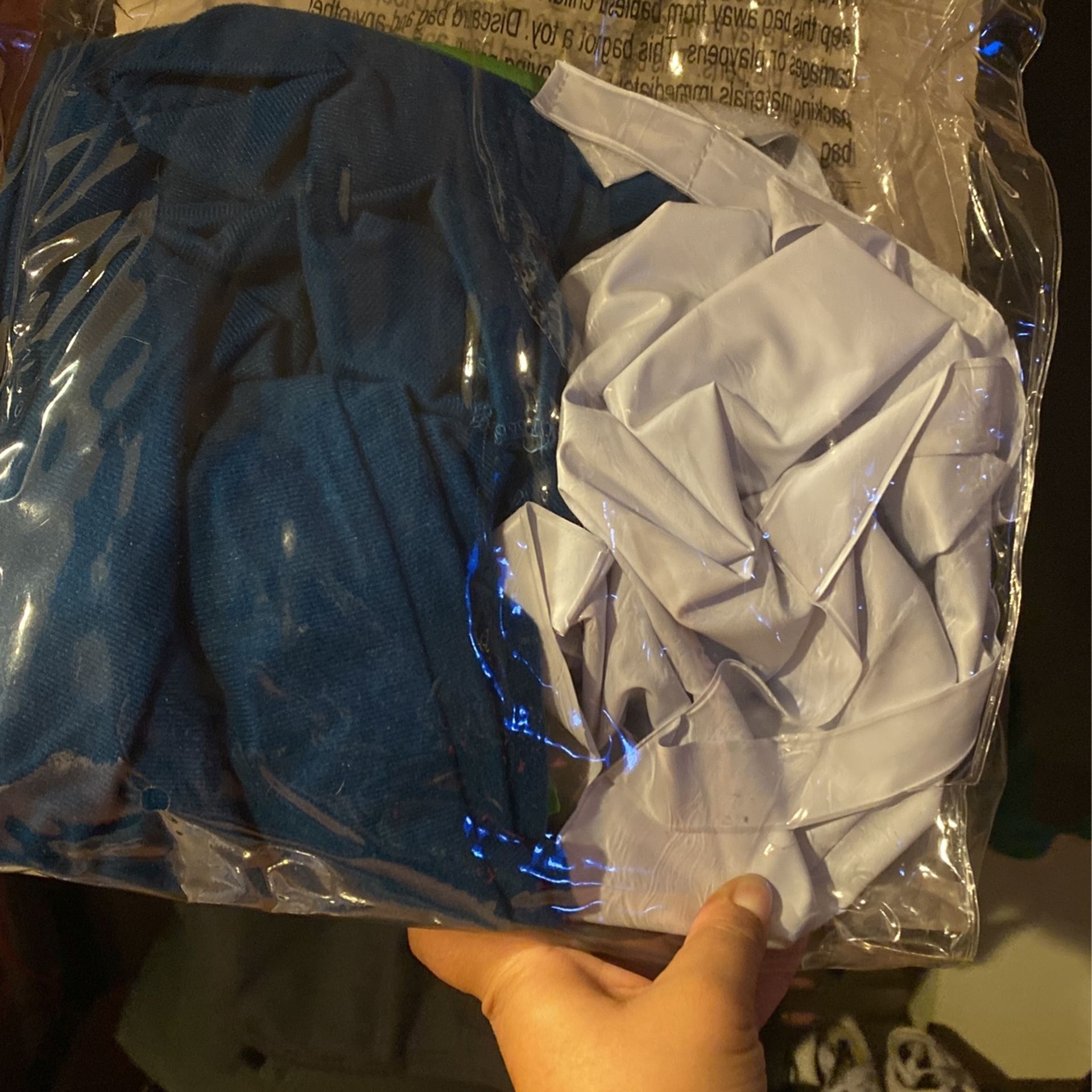 Halloween costume