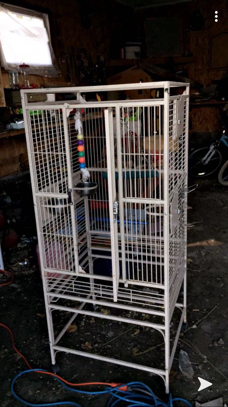 Huge nice bird cage with toys and food bowls we got the cage brand new for 500 hundred
