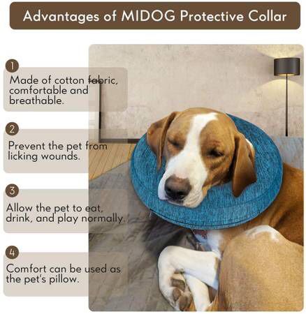 XS Midog inflatable collar protective cone