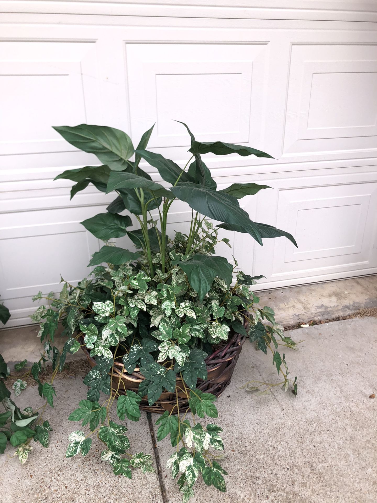 Large greenery baskets
