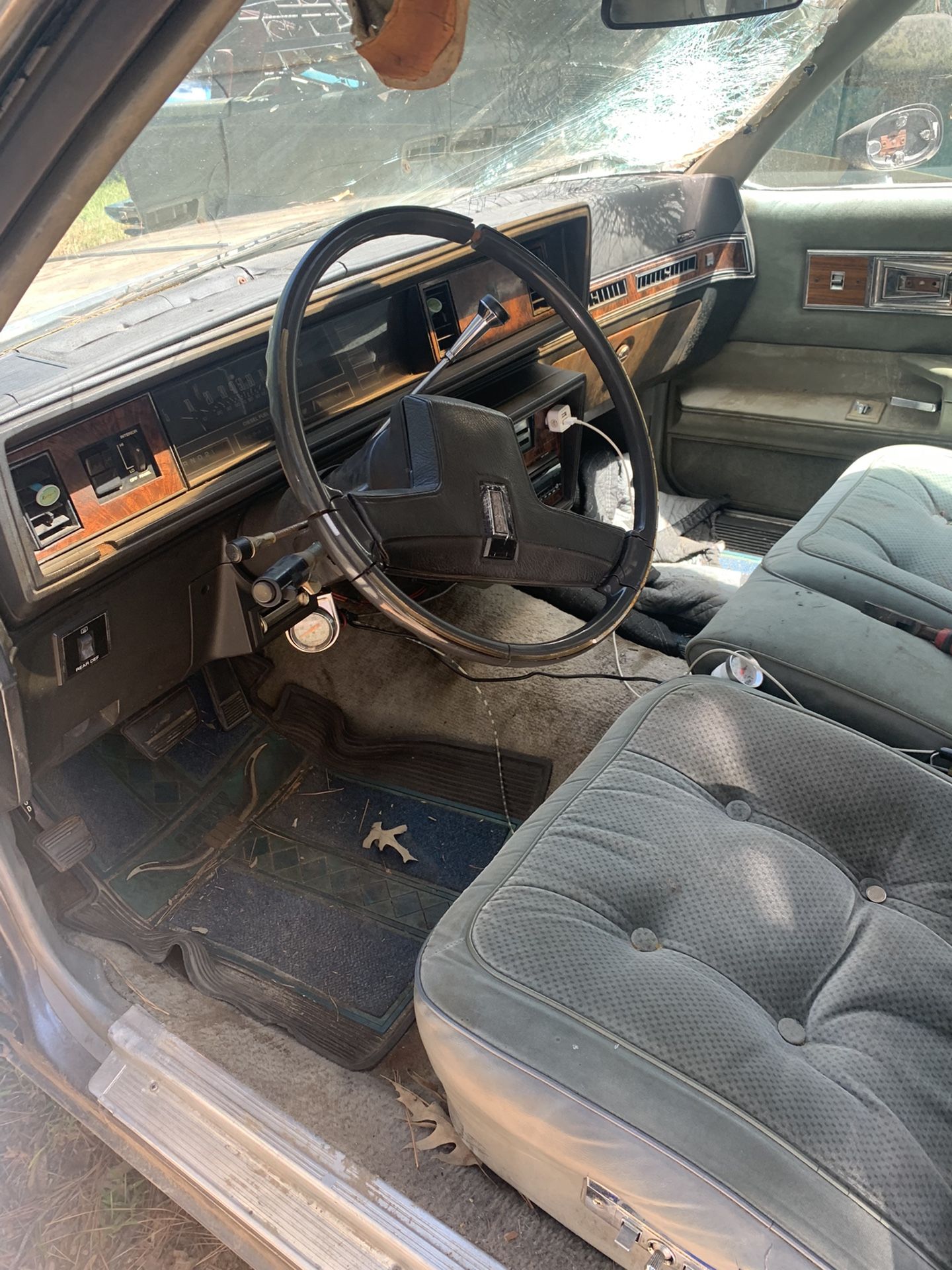 1982 Oldsmobile Custom Cruiser