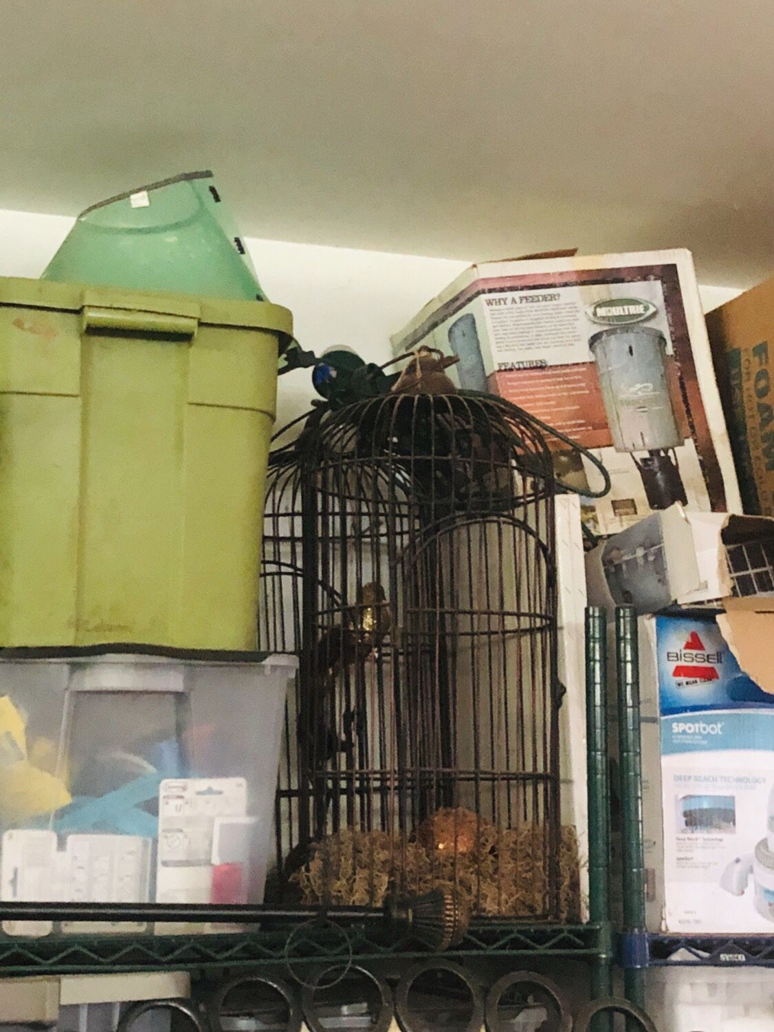 Bird cage decor!