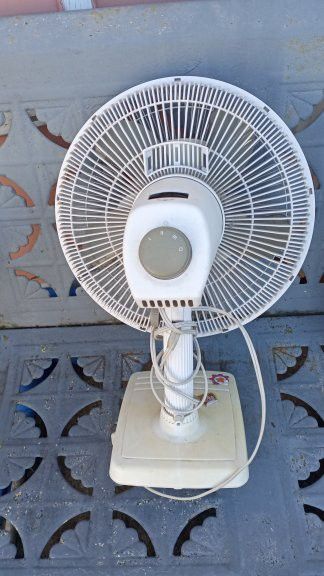Fan