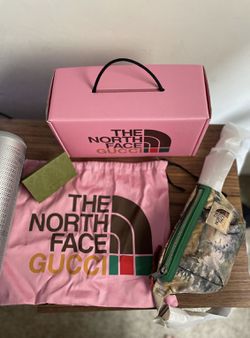 Gucci Belt Bag/The Northface Thumbnail