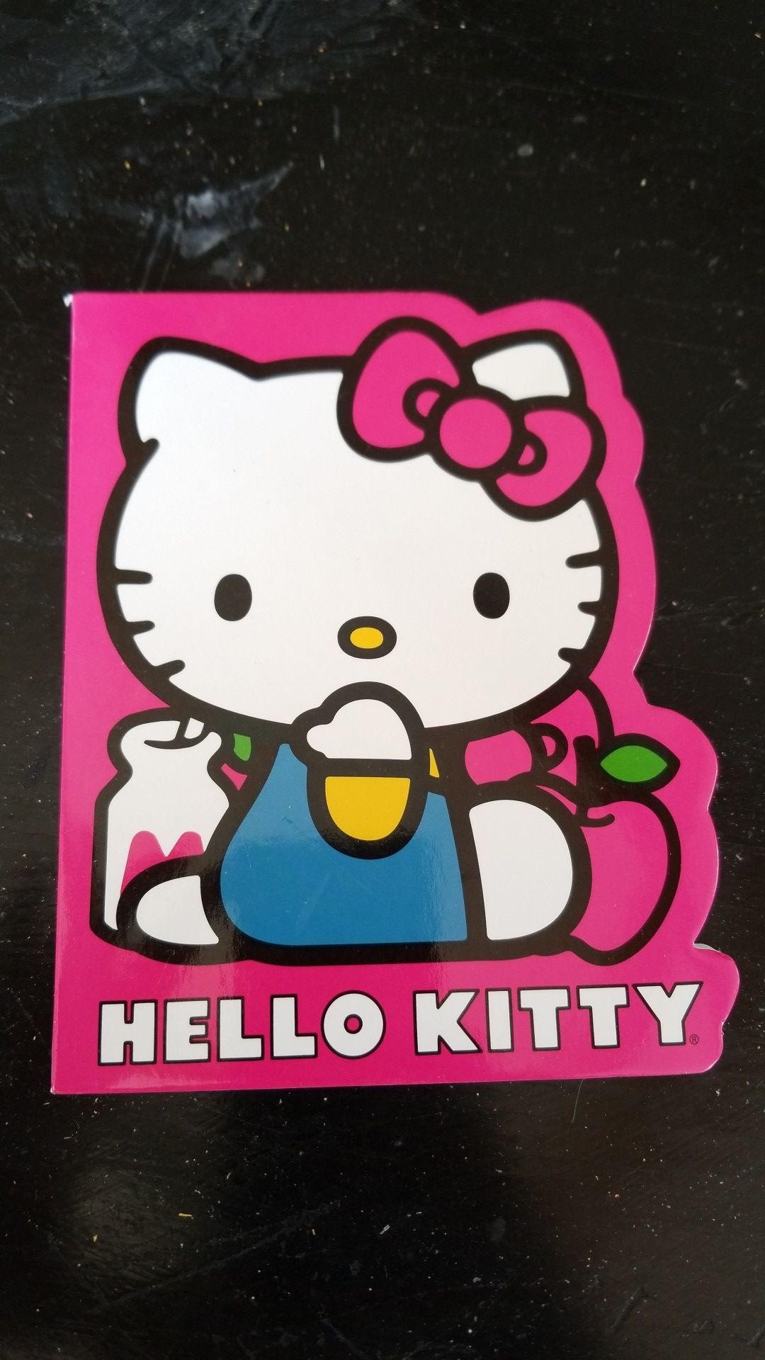 Hello Kitty Notebook