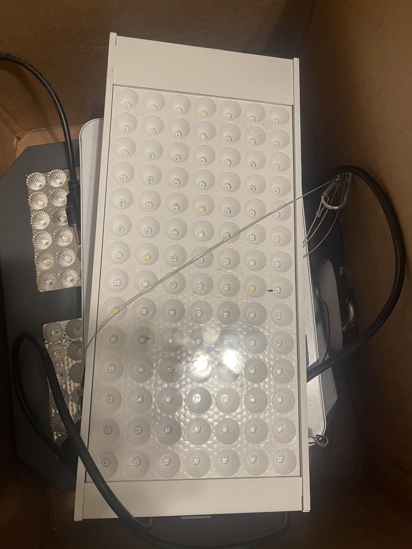 Growing Lights