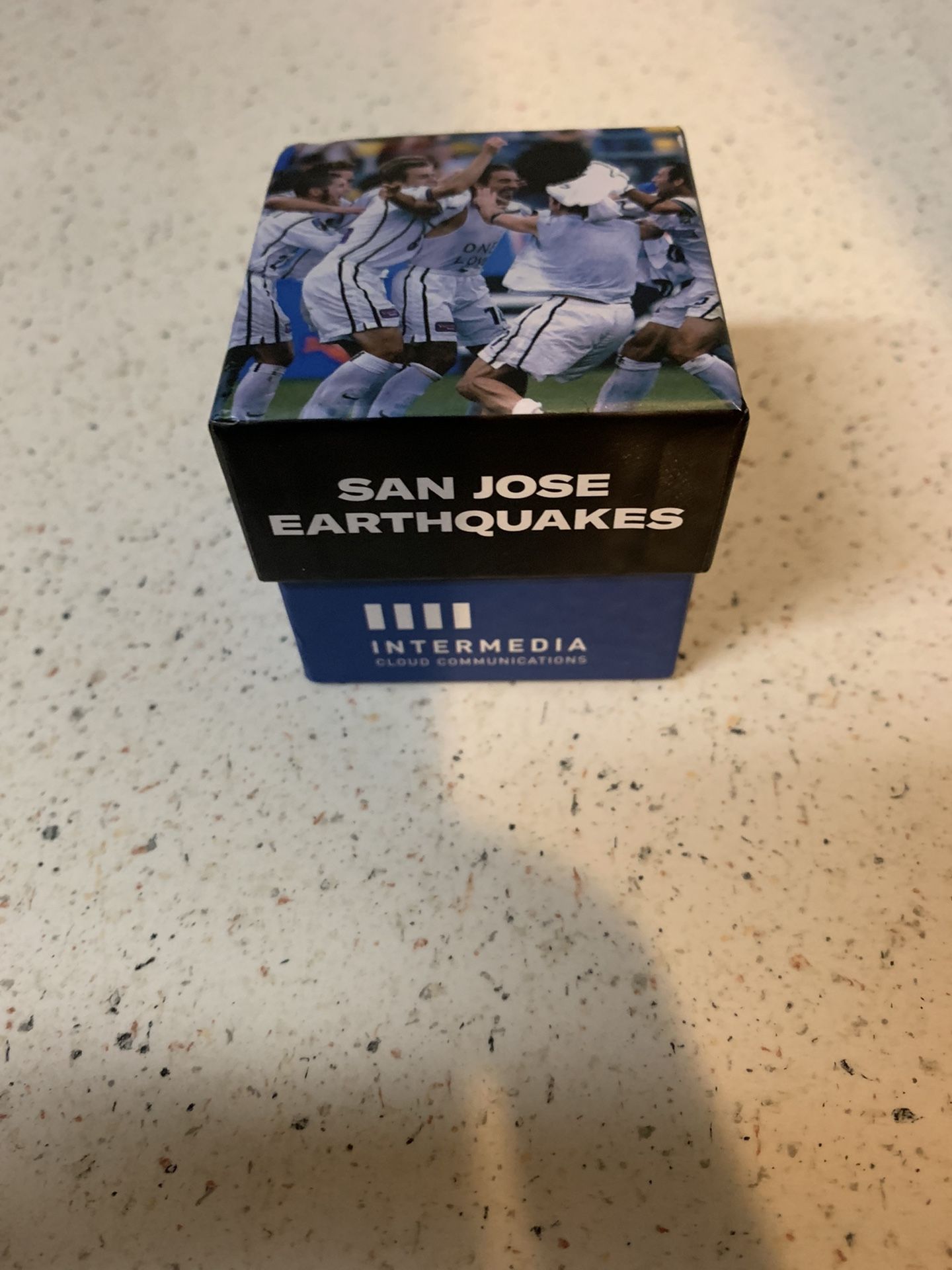 San Jose Earthquakes 2001 MLS CHAMPIONSHIP 20th Anniversary Ring!
