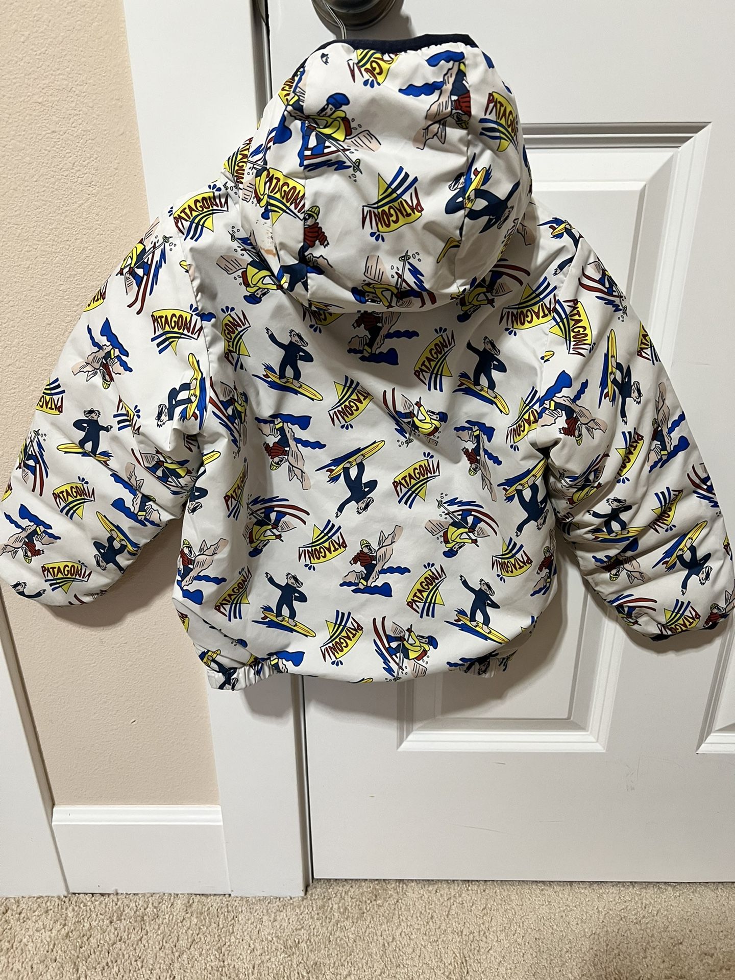 Patagonia Reversible Down Jacket