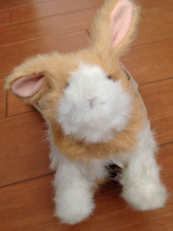 FurReal Friends Bunny 🐰 Rabbit Toy