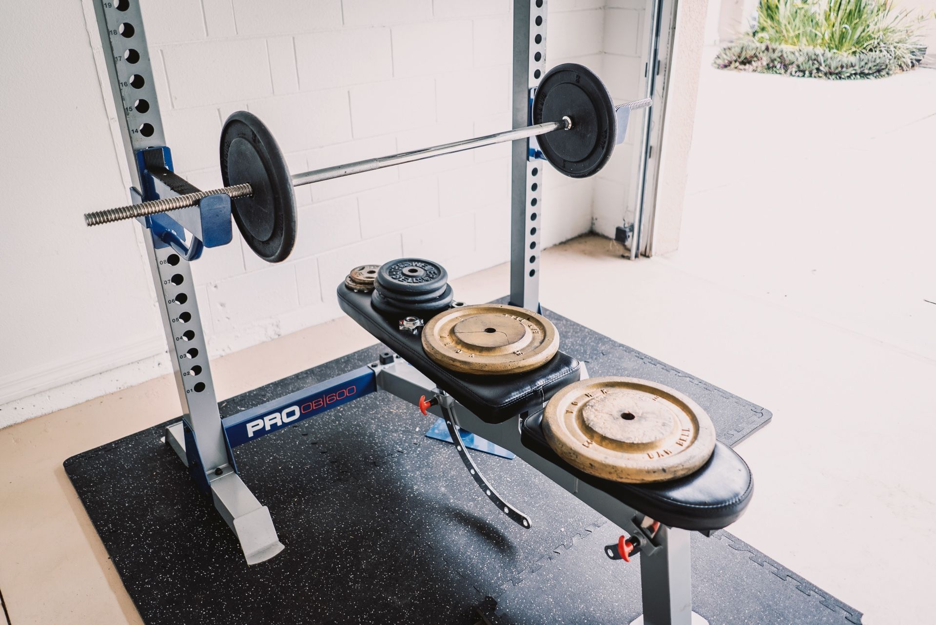 Bench Press Set & Weights