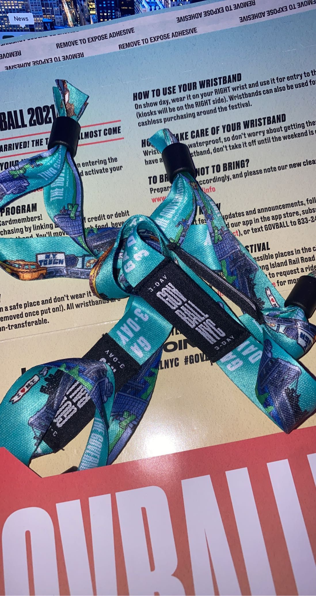 GA Three day Tickets To Government Ball ( Gov ball)