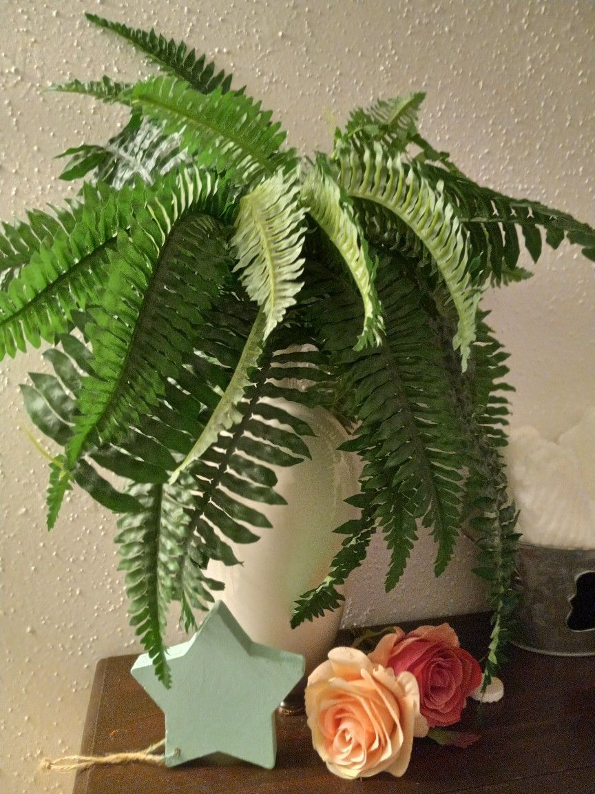 Fake Plants
